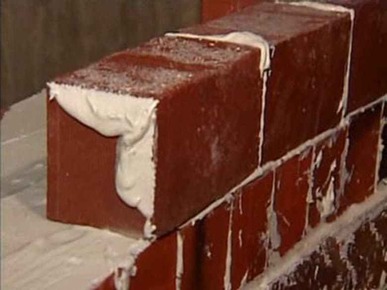 Bricks