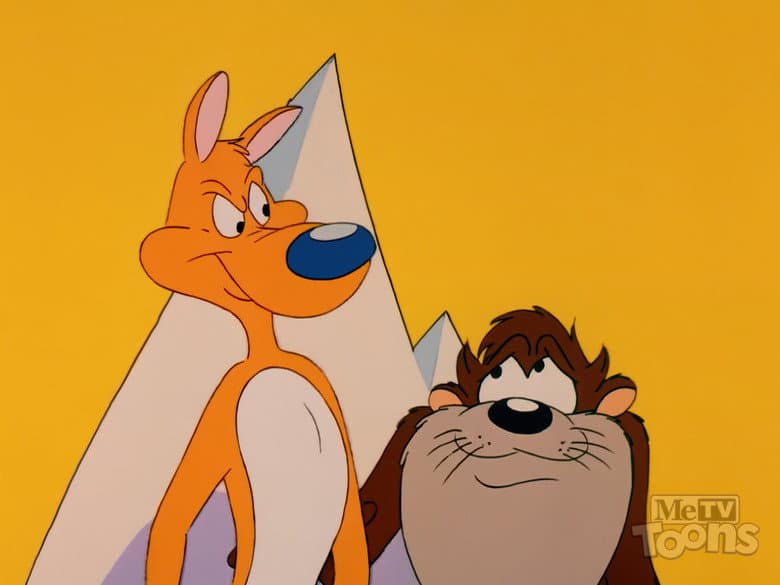 Taz Like Dingo