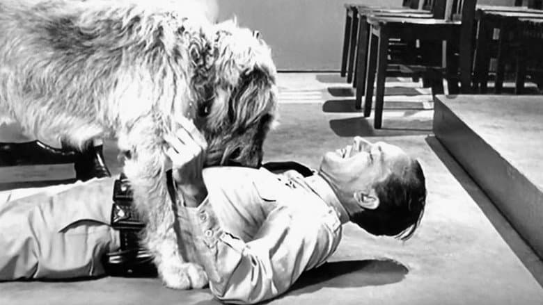 Barney's Bloodhound