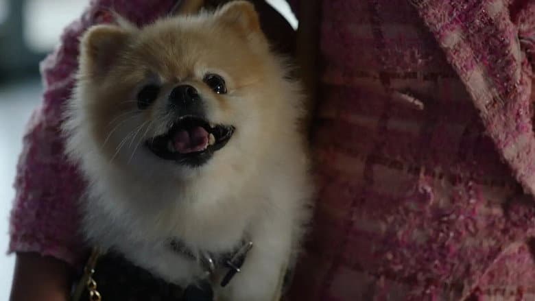 Barking Bad