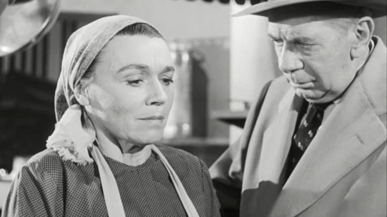 The Case of the Fugitive Nurse