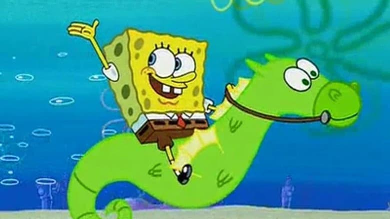My Pretty Seahorse