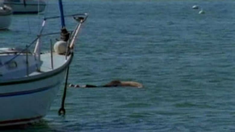 Death by Water (2)