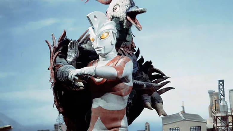 Lend Me the Pigeon