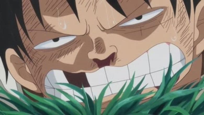 I'll Wait Here! Luffy vs. the Enraged Army!