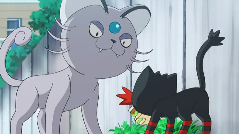 That's Why the Litten Is a Scamp!