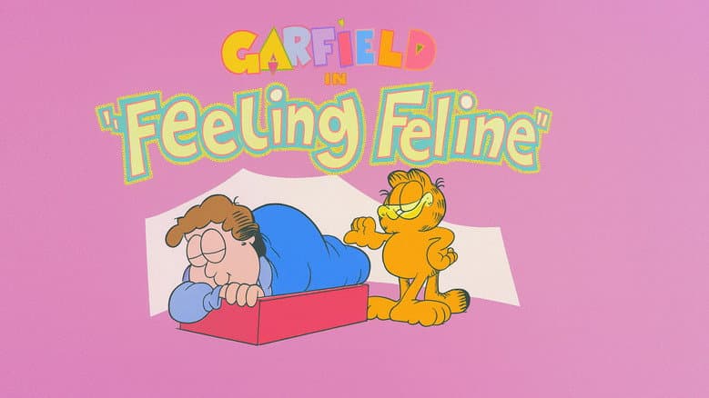 Feeling Feline