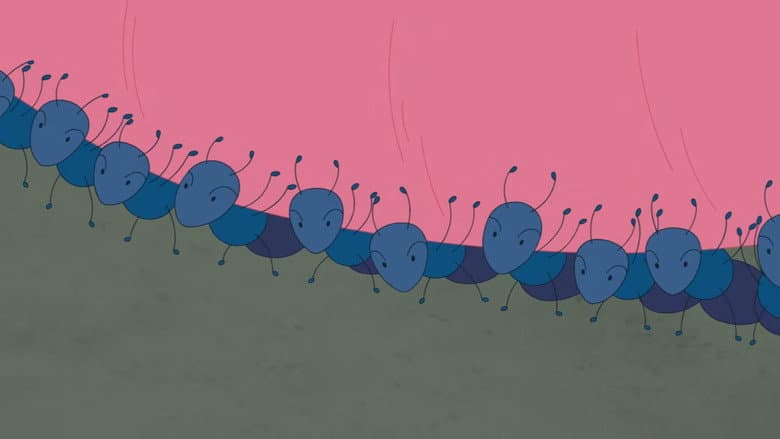 The Hardworking Ants