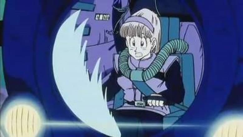 Bulma's Big Day