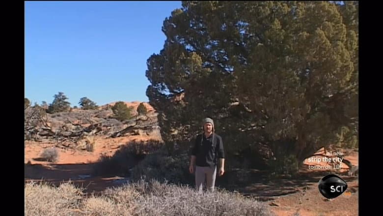 Utah Canyonlands