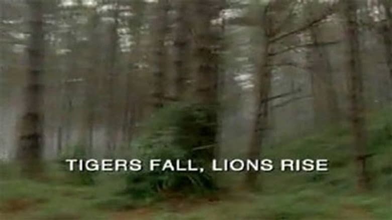 Tigers Fall, Lions Rise