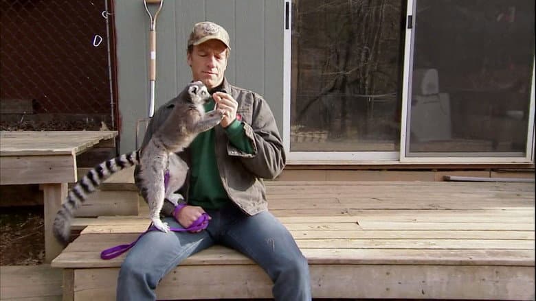 Exotic Animal Keeper
