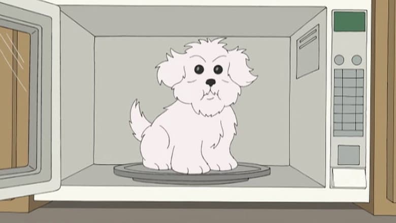 What Happens if You Feed a Dog Chocolate While He Wears a Tin Foil Hat in the Microwave
