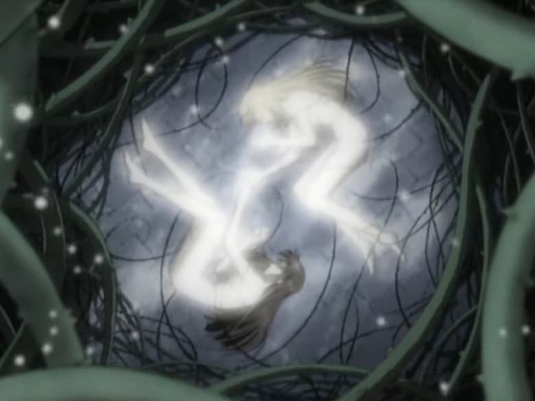 The Forest of Briars