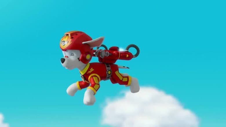 Pups Save the Balloon Pups