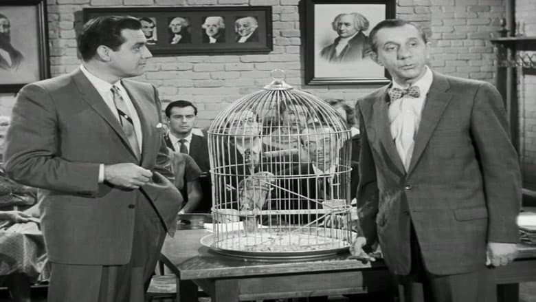 The Case of the Perjured Parrot