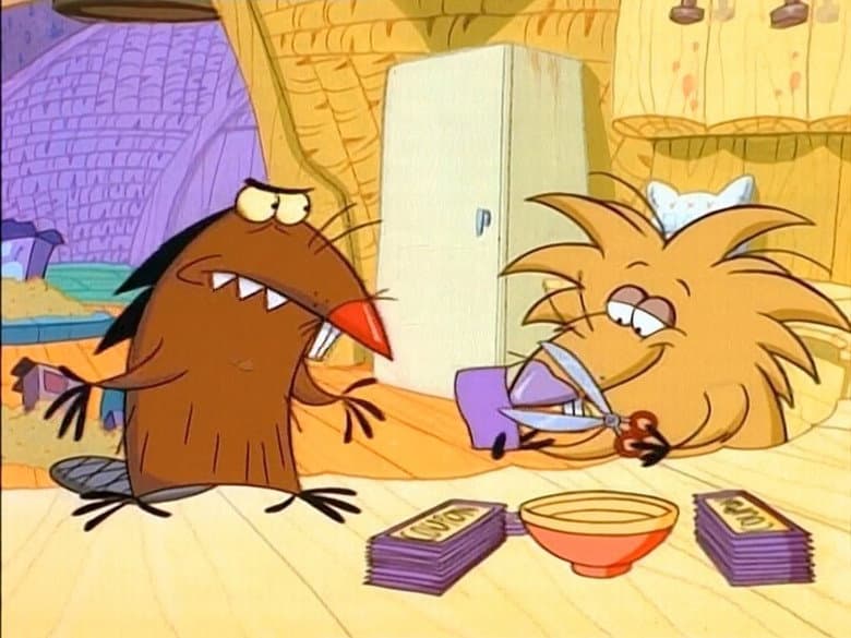 Boxtop Beavers
