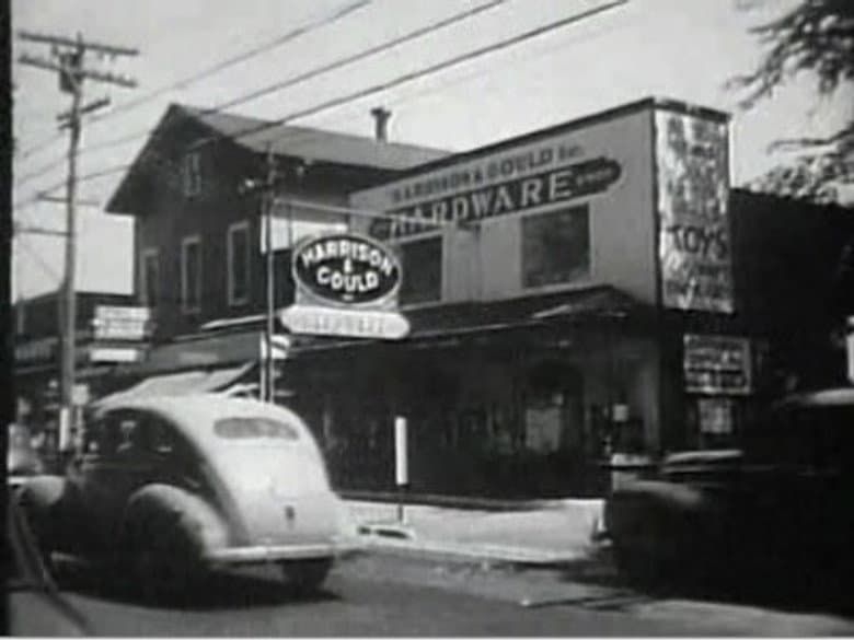 Hardware Stores