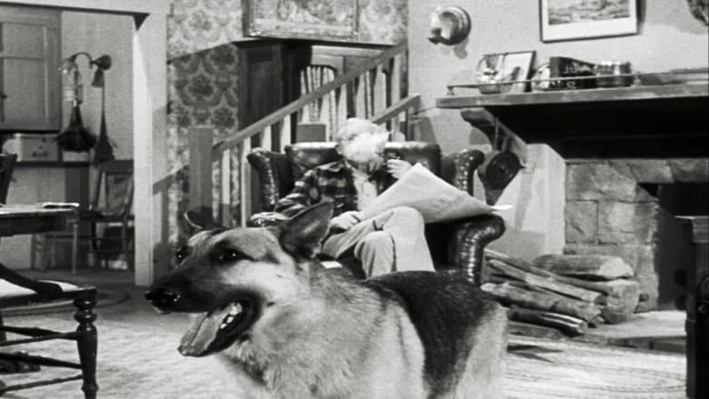 The Case of the Lazy Lover
