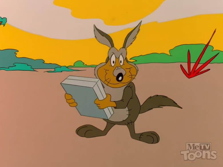 Willie Wombat's Deja Boo-Boo