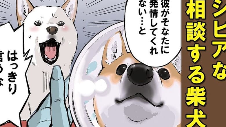 Shiba Distance / Multifunctional Appliance / Love Potion