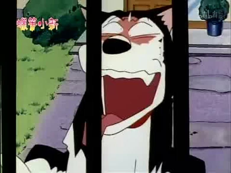 Episode 351