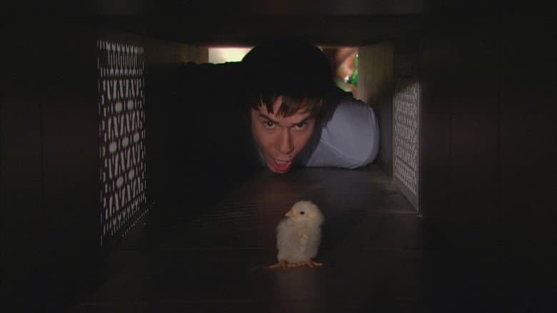 iHatch Chicks
