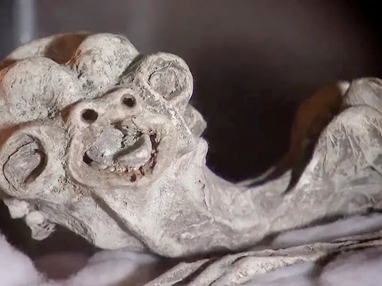 Cold-Blooded Horror