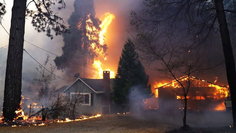 Inside the Megafire