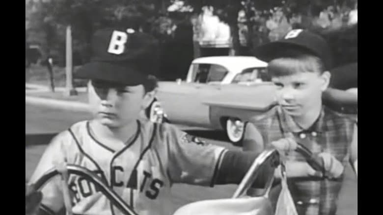 Moochie of the Little League: A Diamond Is a Boy's Best Friend