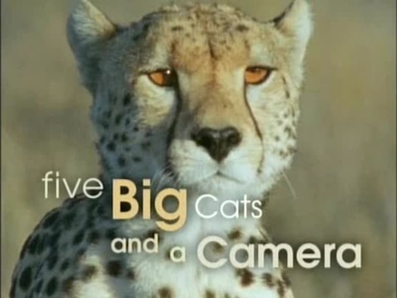 Five Big Cats and a Camera