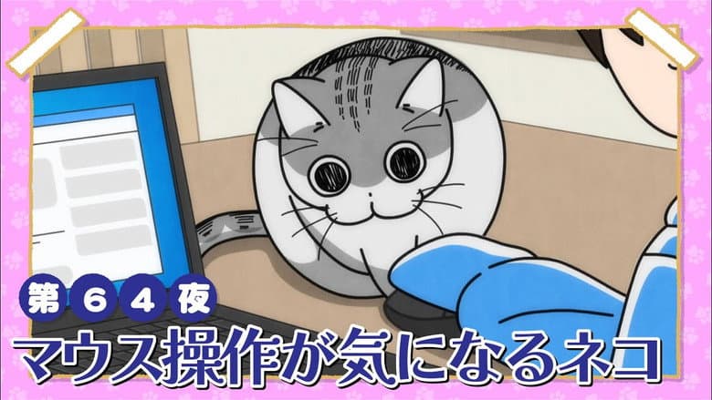 Night 64: A Cat Concerned About Mouse Movement