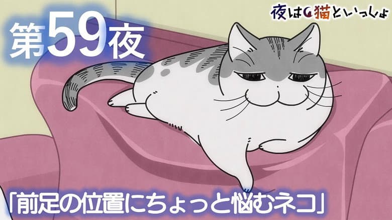 Night 59: A Cat Who Can't Decide Where to Rest Its Forepaw