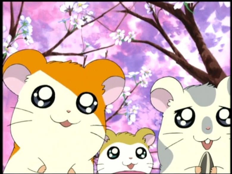 The Blossoms Of Friendship!