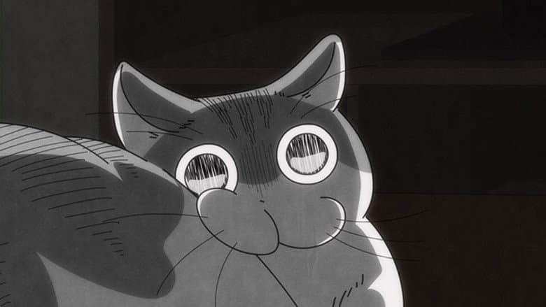 Night 25: Trying to Make the Cat Look Back