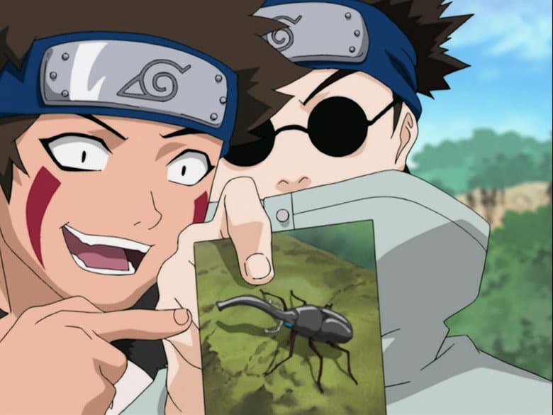 What's the Difference? Don't All Insects Look Alike?