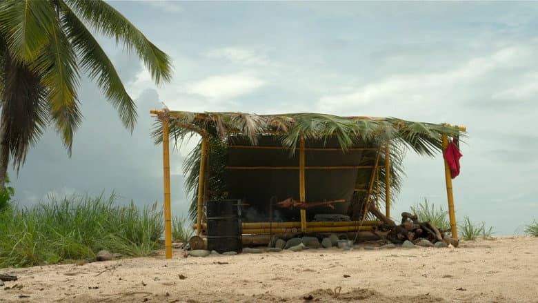 The Traders