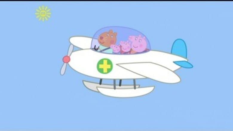 The Flying Vet