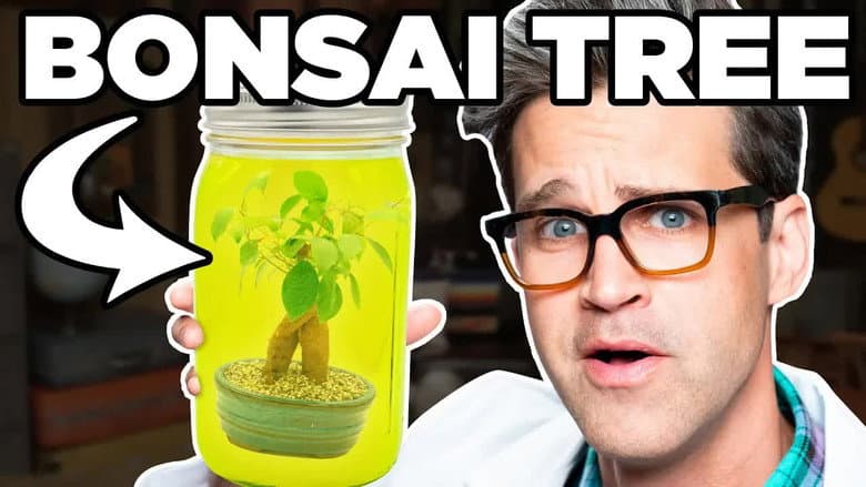 Leaving Things In A Margarita For A Month (EXPERIMENT)