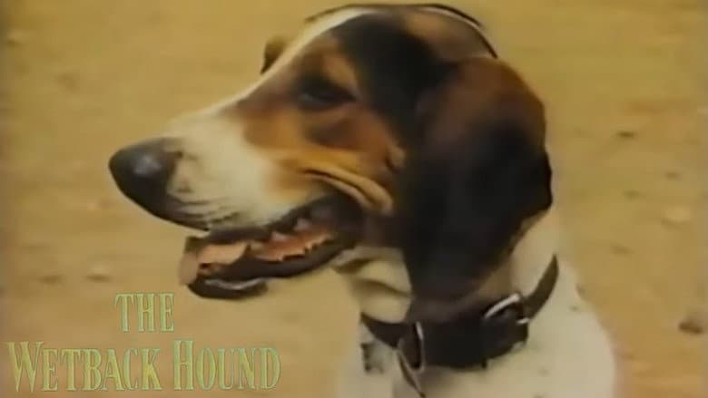 The Wetback Hound