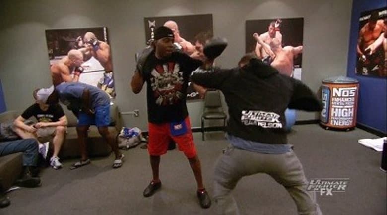 Fight the Perfect Fight