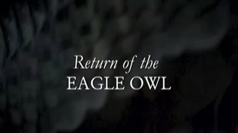 Return Of The Eagle Owl
