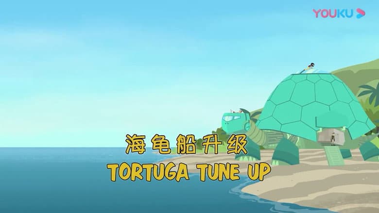 Tortuga Tune-Up