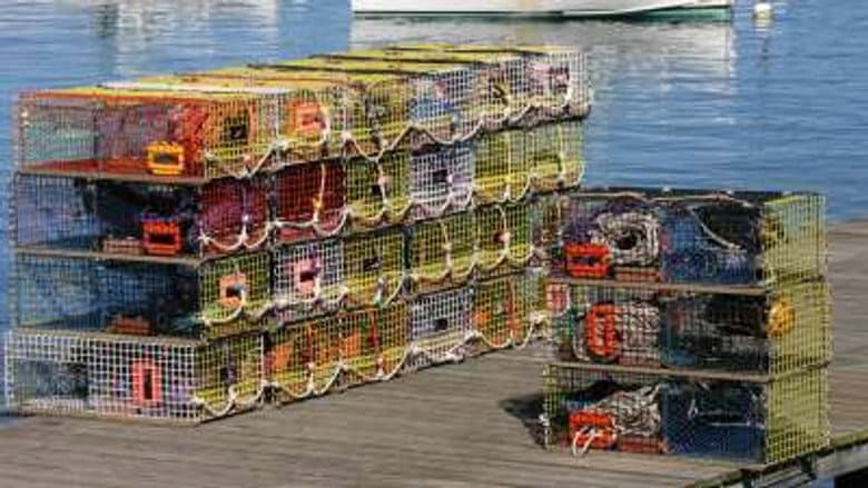 Lobsters, Chesterfield Sofas, 4K Television