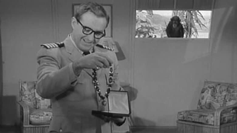 The Great Necklace Caper