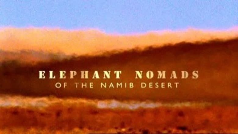Elephant Nomads of The Namib Desert