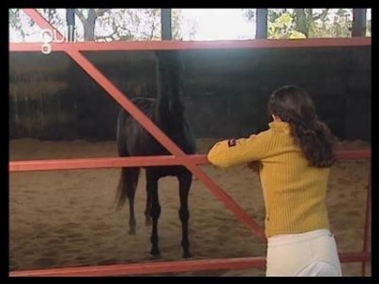 Foster Horse (1)
