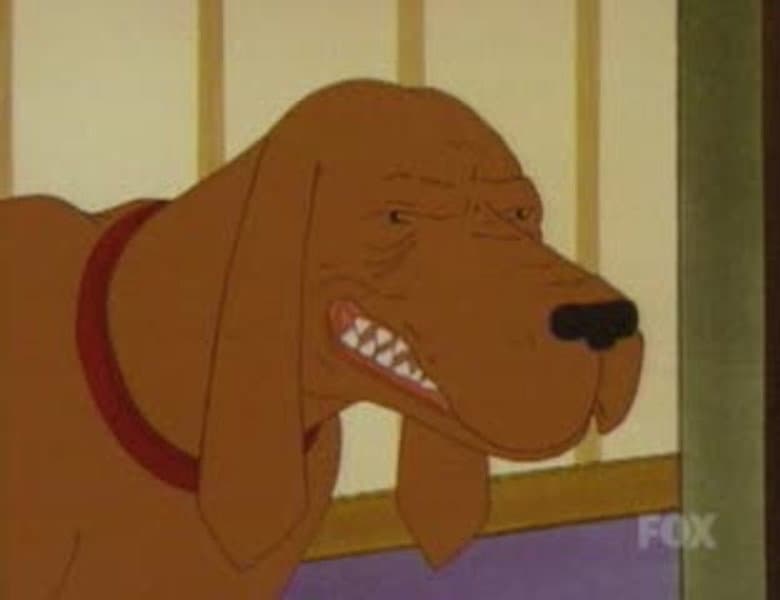 Racist Dawg