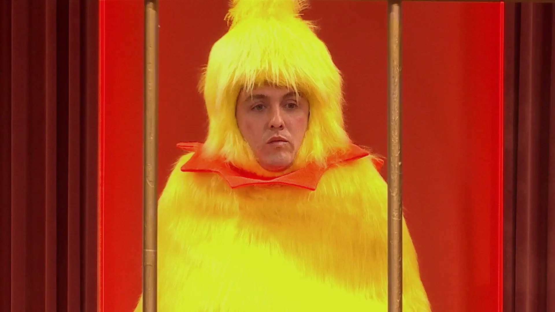 The Seagull and the Frankfurter