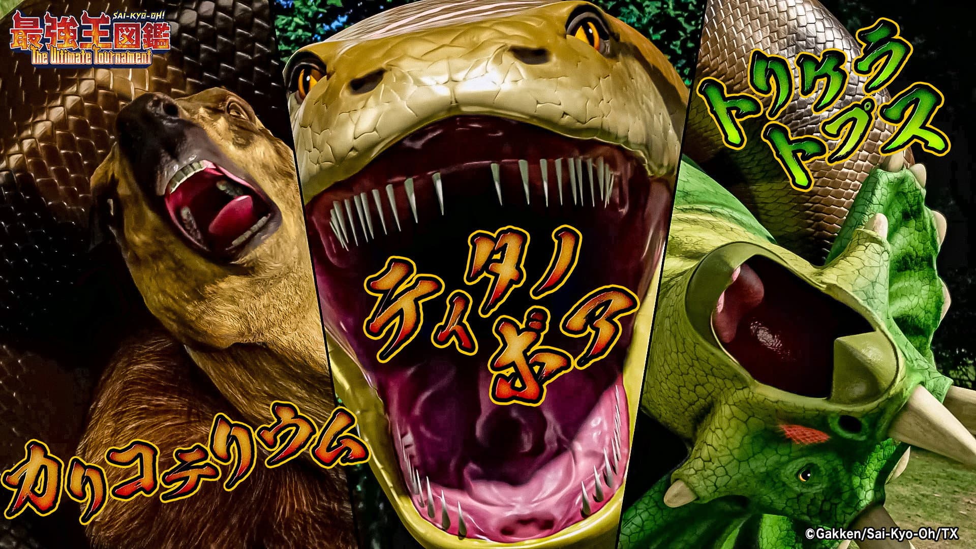 Calicofererium VS Titanoboa VS Triceratops